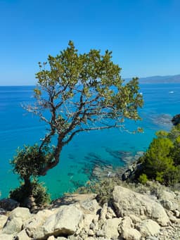 Aphrodite Nature Trail