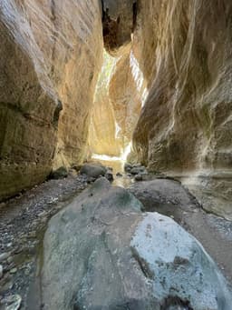 Avakas Gorge Nature Trail