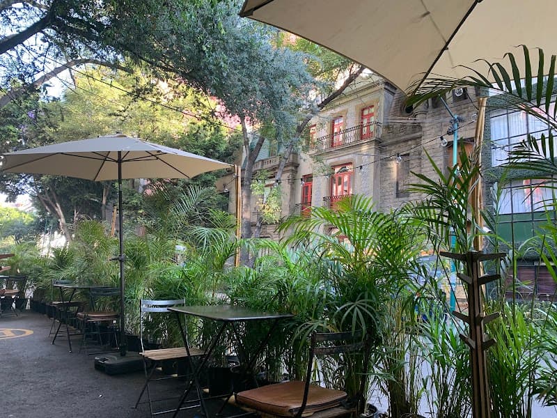 Mexico city best places for breakfast