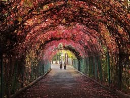 Yerevan Botanical Garden